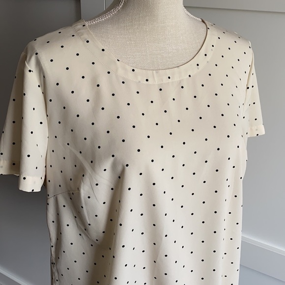 Merona - Off-White with Black Polka Dot Blouse - Picture 5 of 6